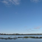 IMG_3204