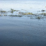 IMG_3209