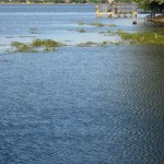 IMG_3210
